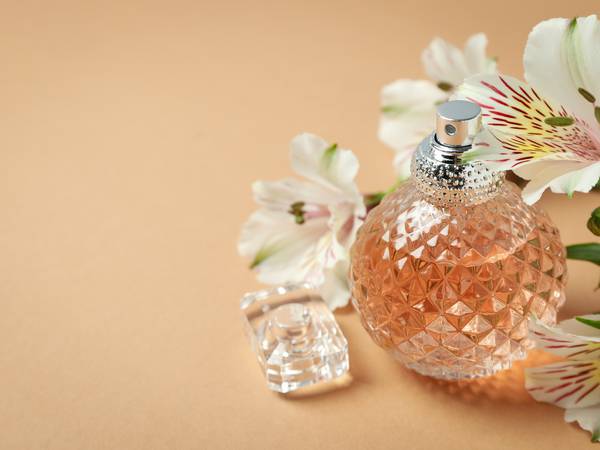 Perfumes femininos baratos, mas que possuem aroma de fragrâncias caras