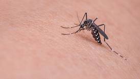 Número de mortes por dengue sobe para 11 no Estado de SP; 16 casos seguem em investigação