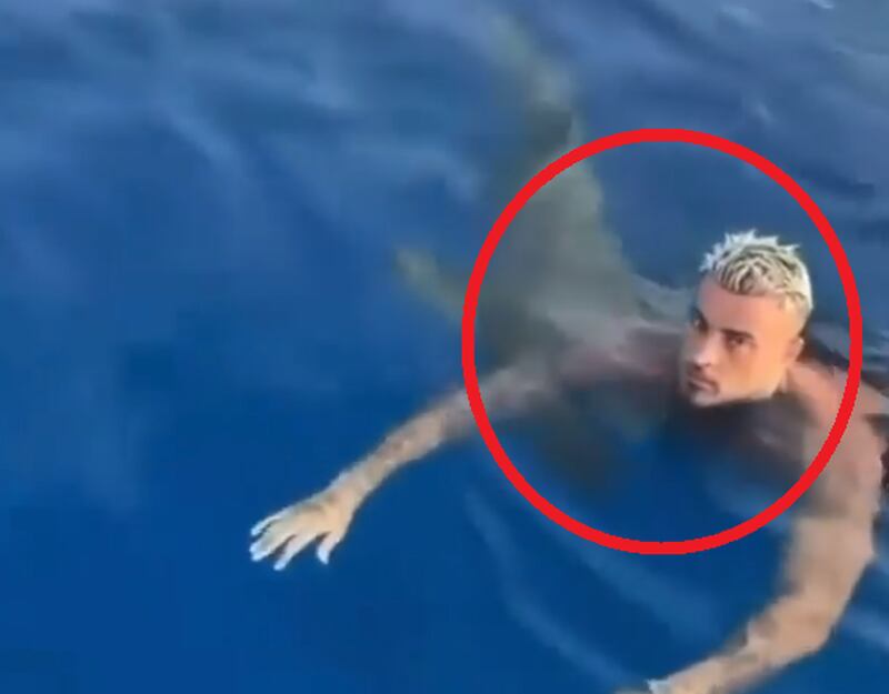Vídeo registra desespero de homem que foi surpreendido por tubarão durante mergulho
