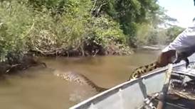 Vídeo que mostra pescadores confrontando anaconda enorme se torna viral