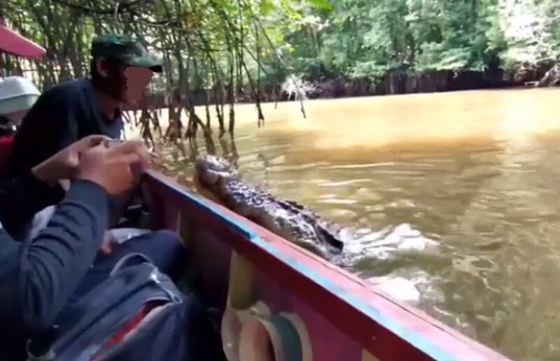 Vídeo mostra homem em passeio de barco alimentando crocodilo e ‘se divertindo’ com situação; assista