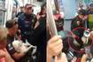 Policiais retiram do metrô um usuário que estava levando seu cachorro ferido ao veterinário