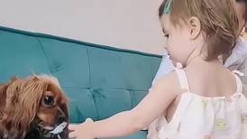 VÍDEO: Bebê compartilha chupeta com cãozinho de estimação e animal fica ‘viciado’ por acessório