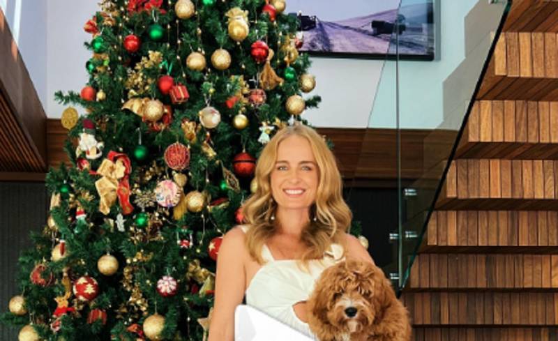 Luxo natalino: Angélica exibe árvore de Natal com fotos da família – Metro  World News Brasil