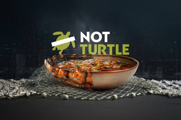 A IA ajudou a criar a primeira sopa de tartaruga sem matá-las