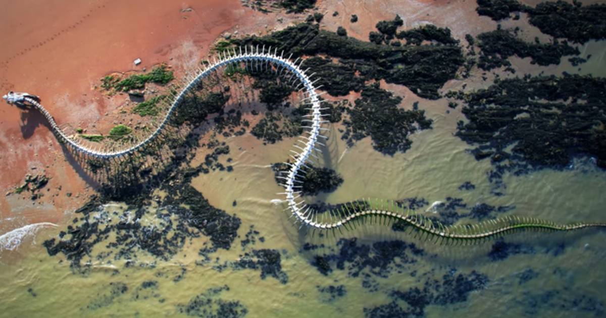 Viral Video: Giant Snake Skeleton Spotted in France on Google Maps. Is It  Real? Watch.