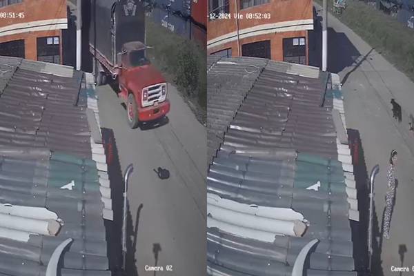 Vídeo: indignação por um motorista que passa por cima de um cachorro com seu caminhão