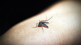 Sobe para 17 o número de mortes por dengue no estado de São Paulo
