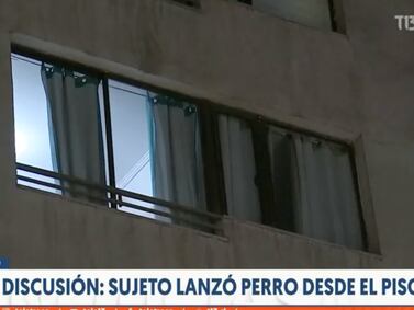 Homem joga cachorro do 12º andar de um prédio durante discussão com sua mulher