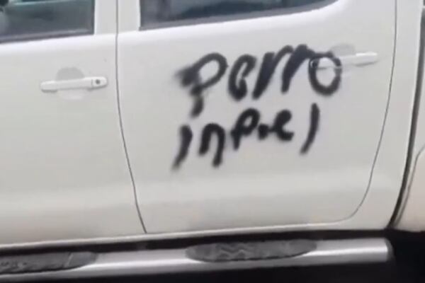Em vingança, mulher cobriu o veículo de seu parceiro com grafites de insulto