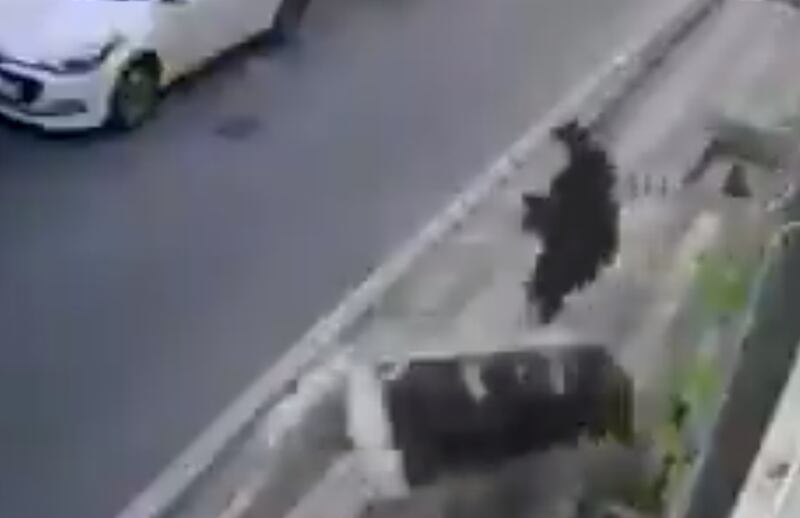 Mulher escapa por pouco de acidente após vizinho arremessar sofá de janela; veja vídeo