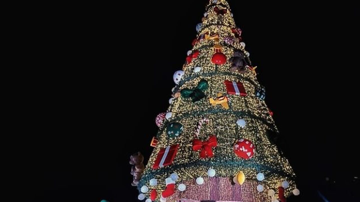 Ainda dá tempo: 4 árvores de Natal para visitar com a família em São Paulo  – Metro World News Brasil