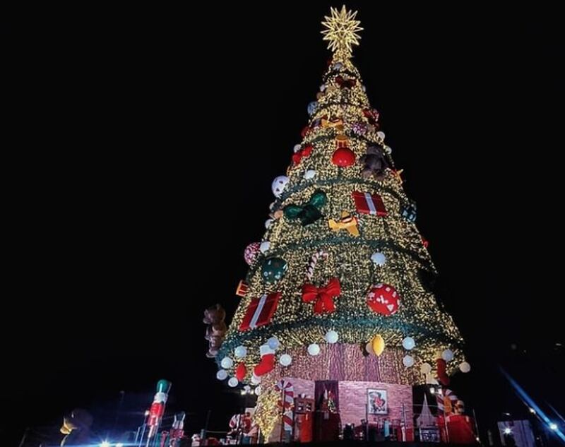 Ainda dá tempo: 4 árvores de Natal para visitar com a família em São Paulo  – Metro World News Brasil