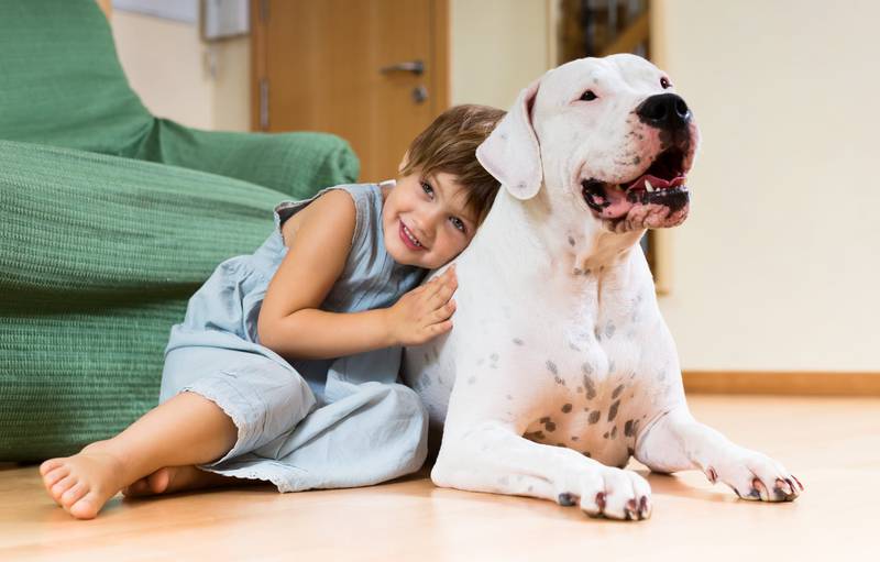 Pets no isolamento social, benefícios para crianças; criança abraçando cachorro no chão