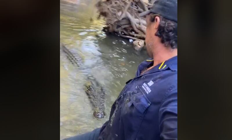 Vídeo impactante registra influenciador em lago com crocodilo e animal querendo atacá-lo; assista momento de tensão