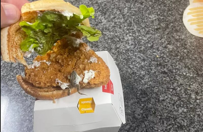 Cliente afirma ter encontrado sapo em sanduíche de famosa rede de fast-food
