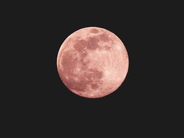 Lua rosa: quando e onde poderá ser visto o plenilúnio de abril em seu ponto mais brilhante?