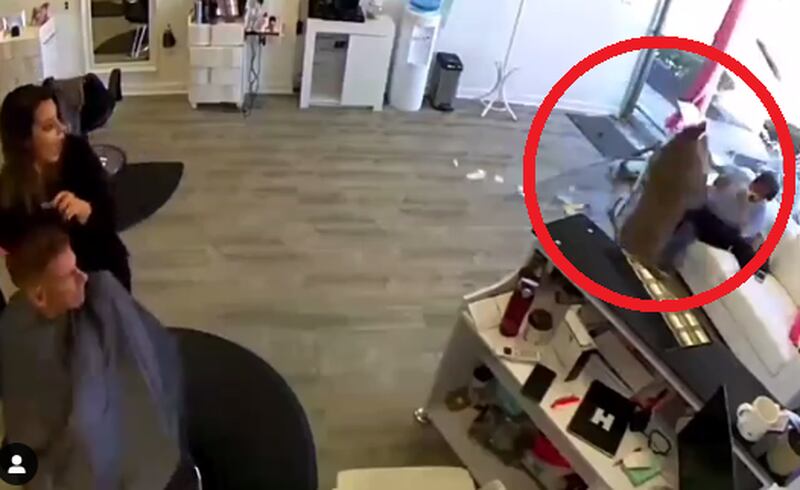Vídeo registra momento de desespero em que cervo rompe janela de salão de beleza e assusta clientes; assista