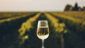 A ciência de um vinho Late Harvest: por que é importante mantê-lo a uma temperatura exata?