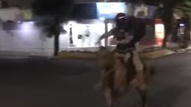 A verdade por trás do vídeo que mostra um ‘delivery com égua’ que acabou viralizando nas redes sociais 