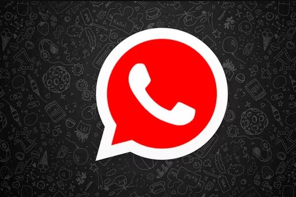 WhatsApp: assim você pode ativar o modo escuro dentro do aplicativo de mensagens