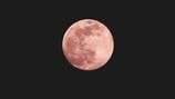 Lua rosa: quando e onde poderá ser visto o plenilúnio de abril em seu ponto mais brilhante?