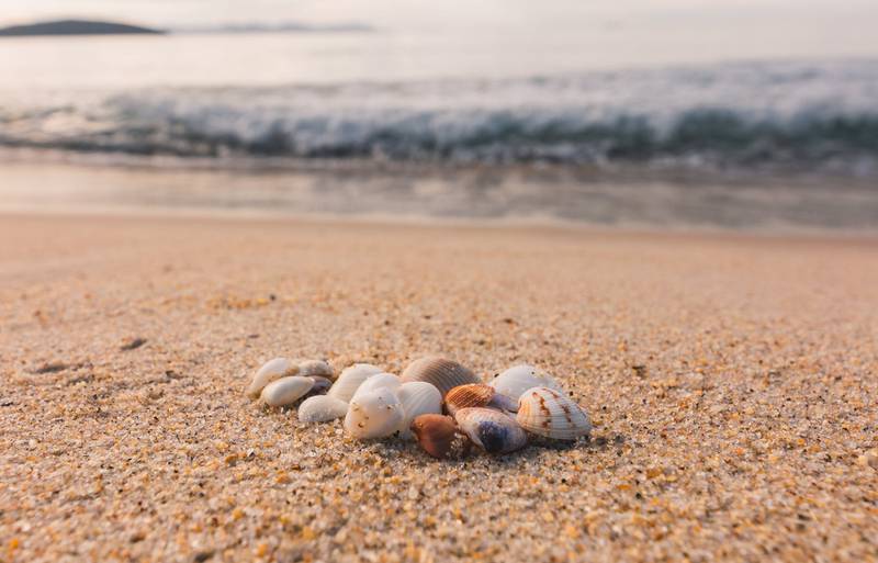 Descoberta de mulher ao buscar conchas em praia termina em caso de polícia
