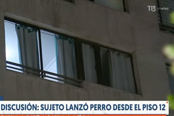 Homem joga cachorro do 12º andar de um prédio durante discussão com sua mulher