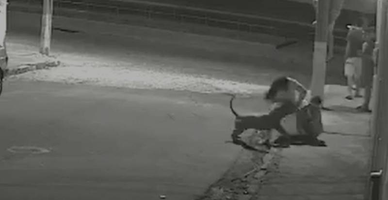 Câmera flagrou momento em que pitbull ataca criança na Bahia