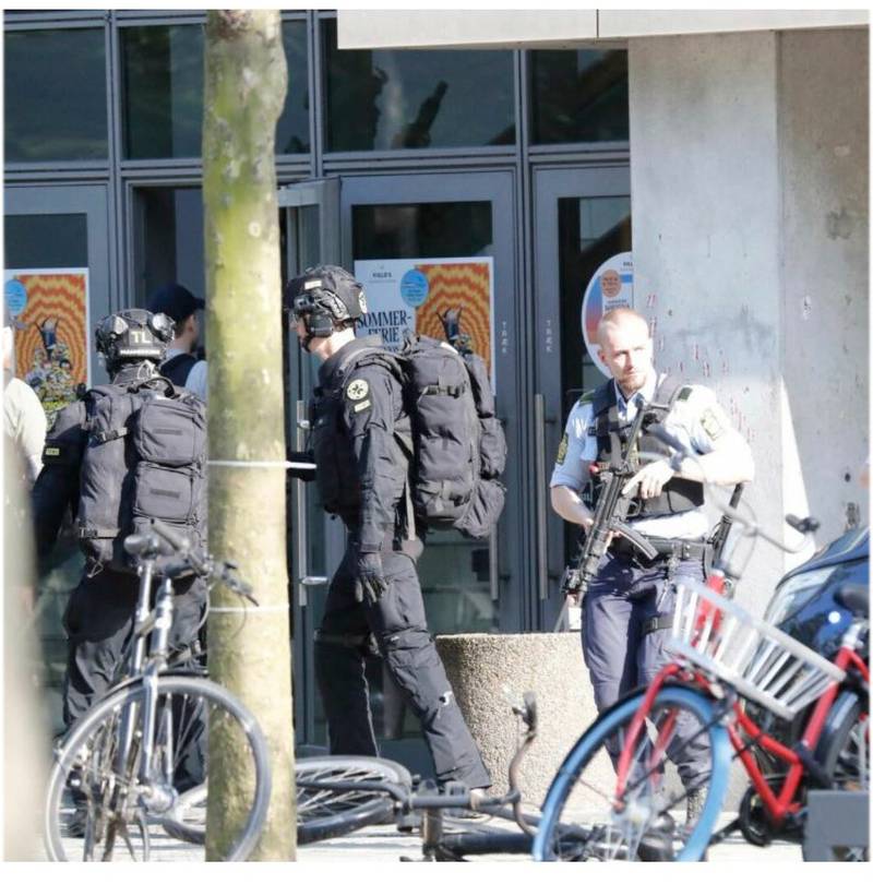 Policiais armados se preparam para invadir o shopping onde jovem disparou contra o público