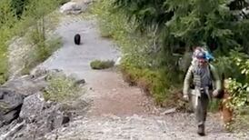 Vídeo flagra momento aterrorizante em que em que a família é perseguida por um urso selvagem durante trilha; estavam com três crianças