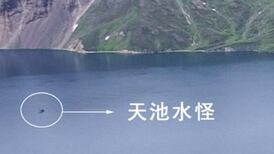 “Monstro” de 15 metros em lago chinês deixa turista admirada