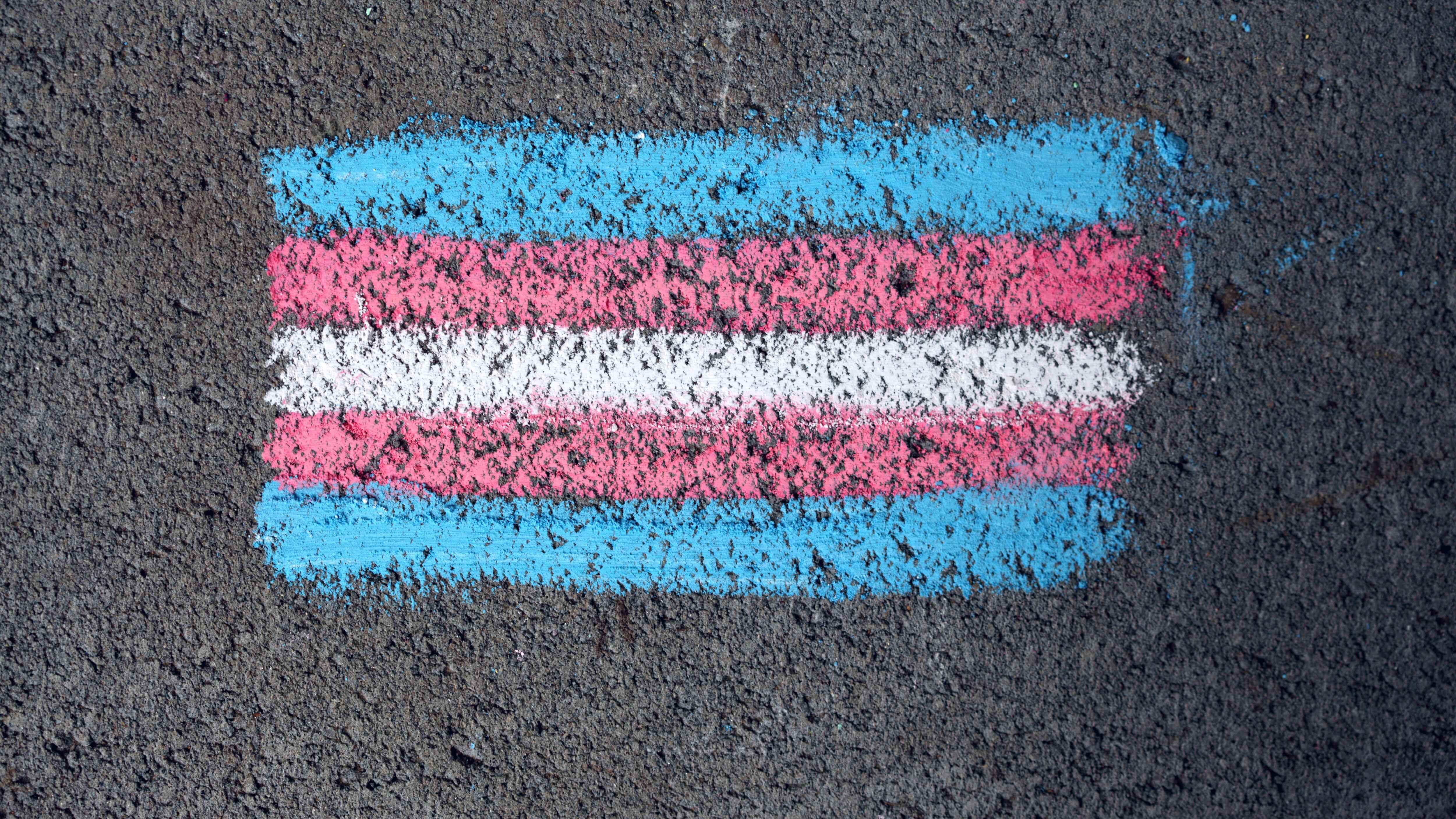 Dia da Visibilidade Trans é celebrado neste sábado