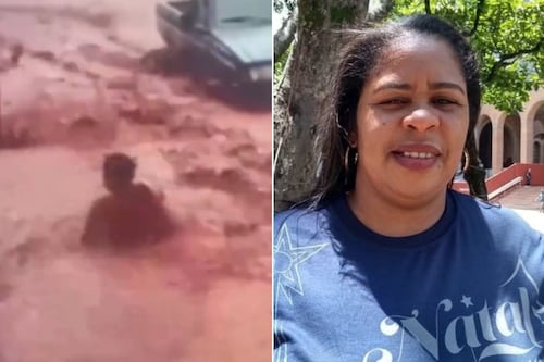 VÍDEO: Mulher de 51 anos morre arrastada por enxurrada ao salvar o neto, no interior de São Paulo