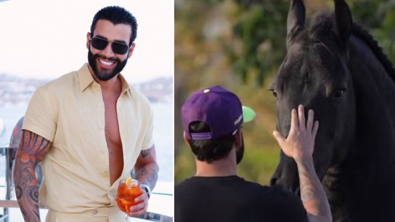 Embaixador diz que fará apenas 50 shows no ano que vem