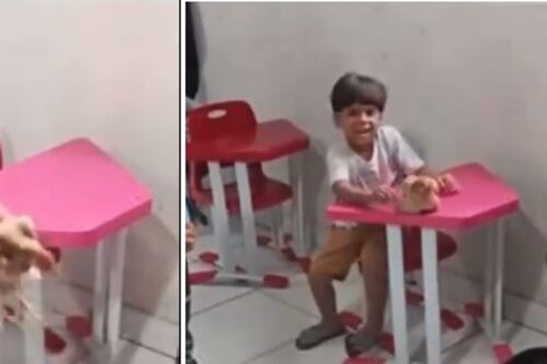 Vídeo: menino de 4 anos viraliza após levar galinha para a escola na mochila