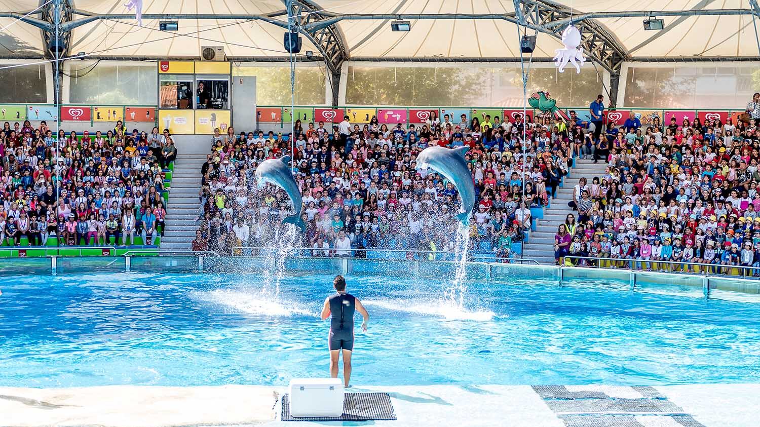 Jardim Zoológico - Foto: Reprodução
