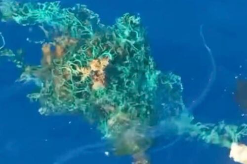 Barqueiro se depara com lixo flutuando e nota a presença de alguém preso: “Minha reação foi libertá-lo”