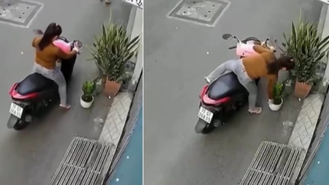 Mujer intentó robarse una matera, pero el karma no la dejó