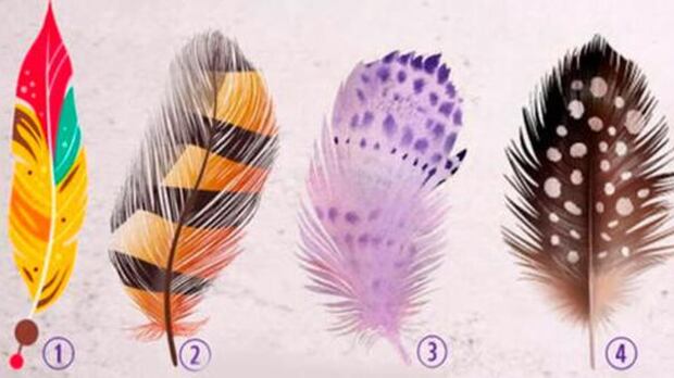 Escolha uma das penas e saiba qual a sua maior virtude e que talvez não perceba; faça o teste