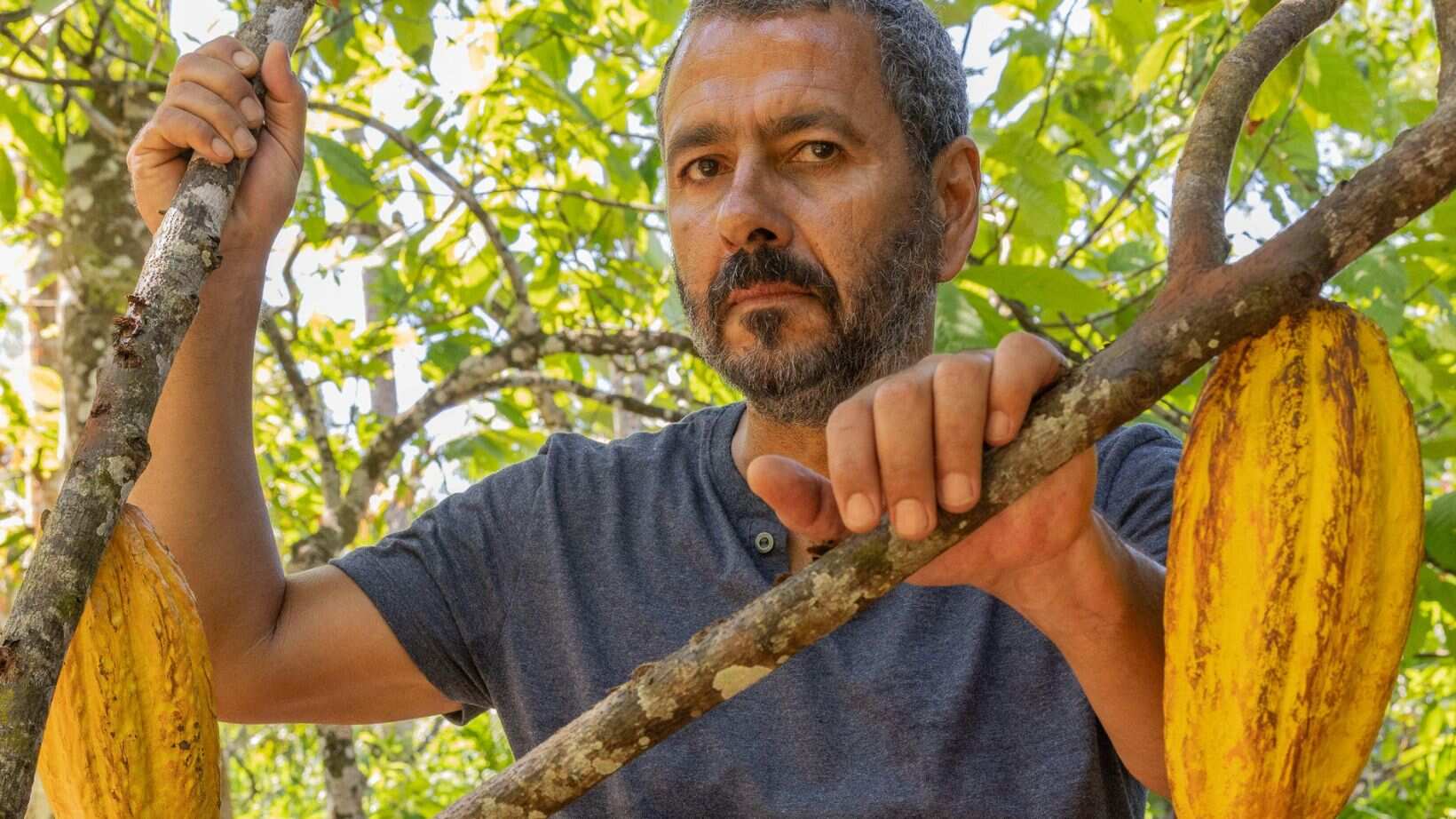 Remake de Renascer: cramulhão está presente em José Inocêncio, o protagonista da novela da Globo