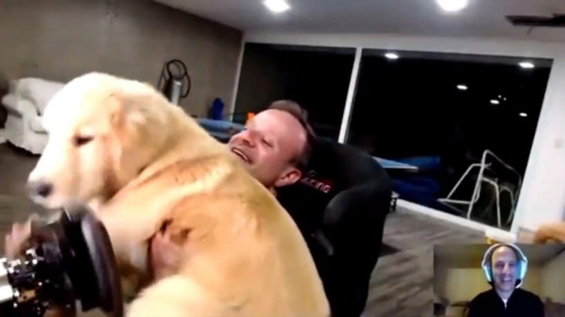 Rubinho Barrichello sofre ‘ataque de fofura’ em live