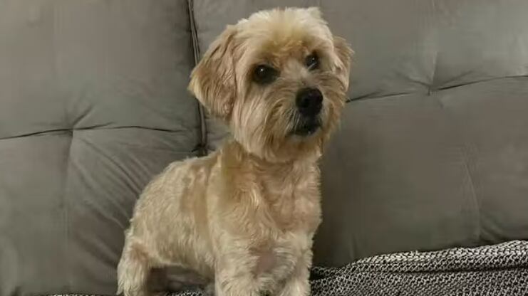 Foto: Arquivo Pessoal