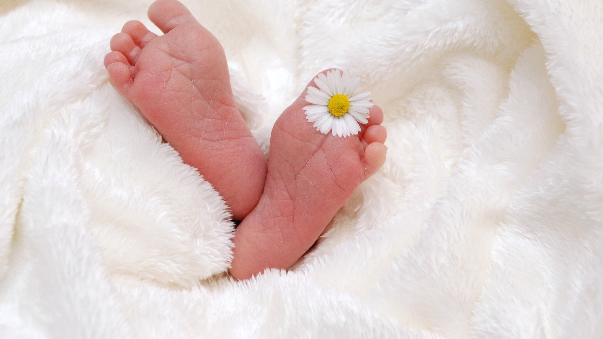 Quíntuplos nascem na Zona Norte de São Paulo