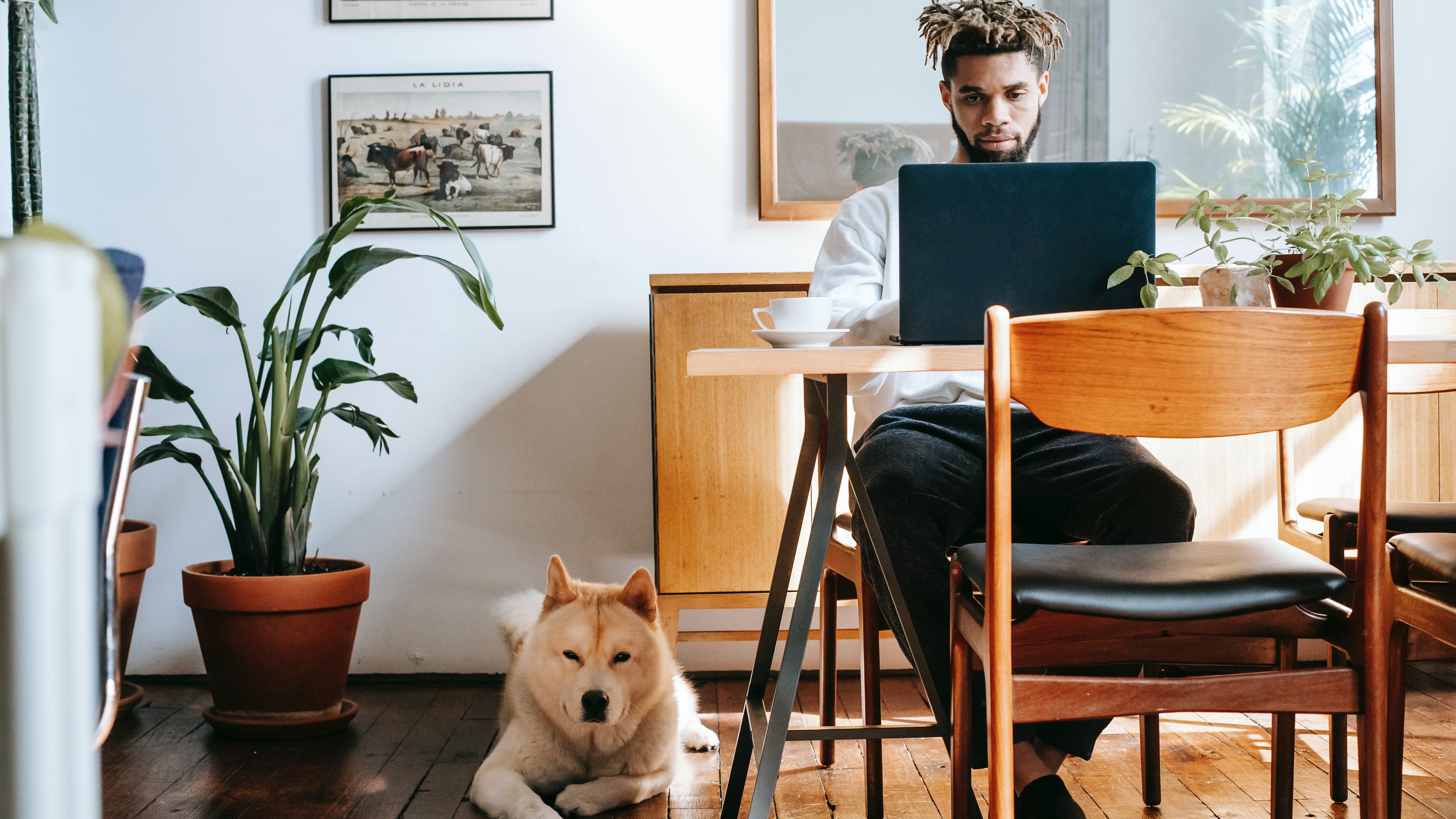Cão deitado no chão ao lado de homem