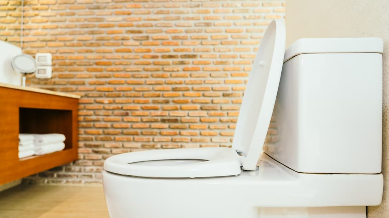 Dica caseira para limpar o vaso sanitário de maneira prática e em poucos minutos