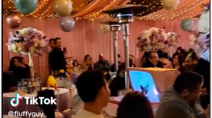 Aniversário de 15 anos de cachorra