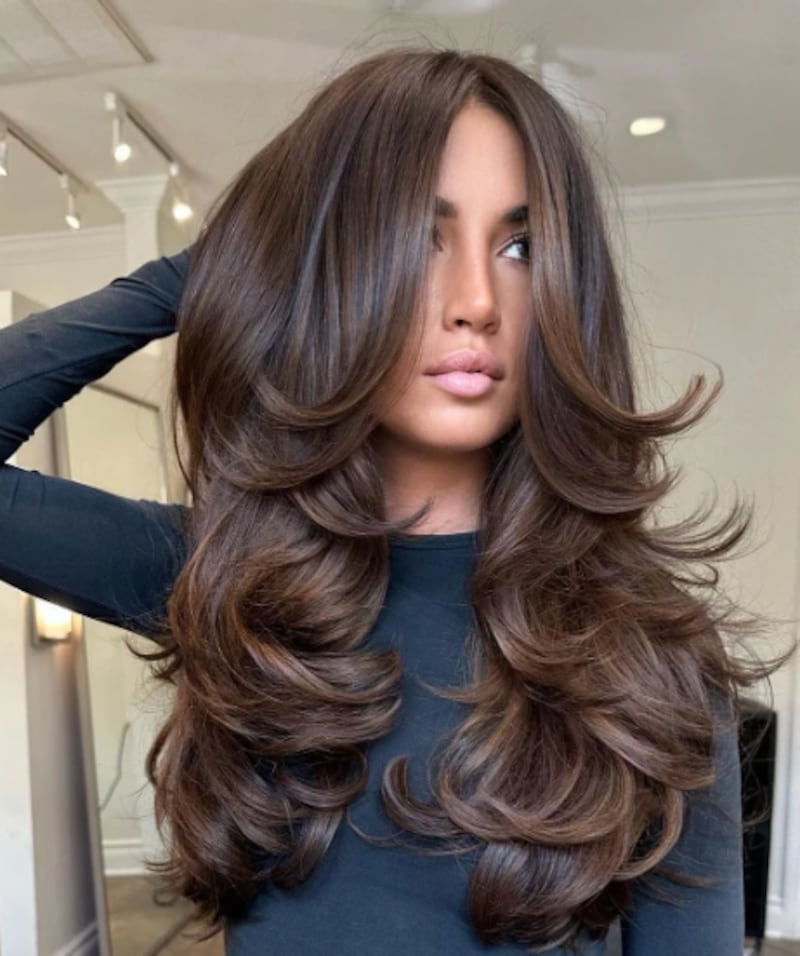 Corte borboleta/ reprodução