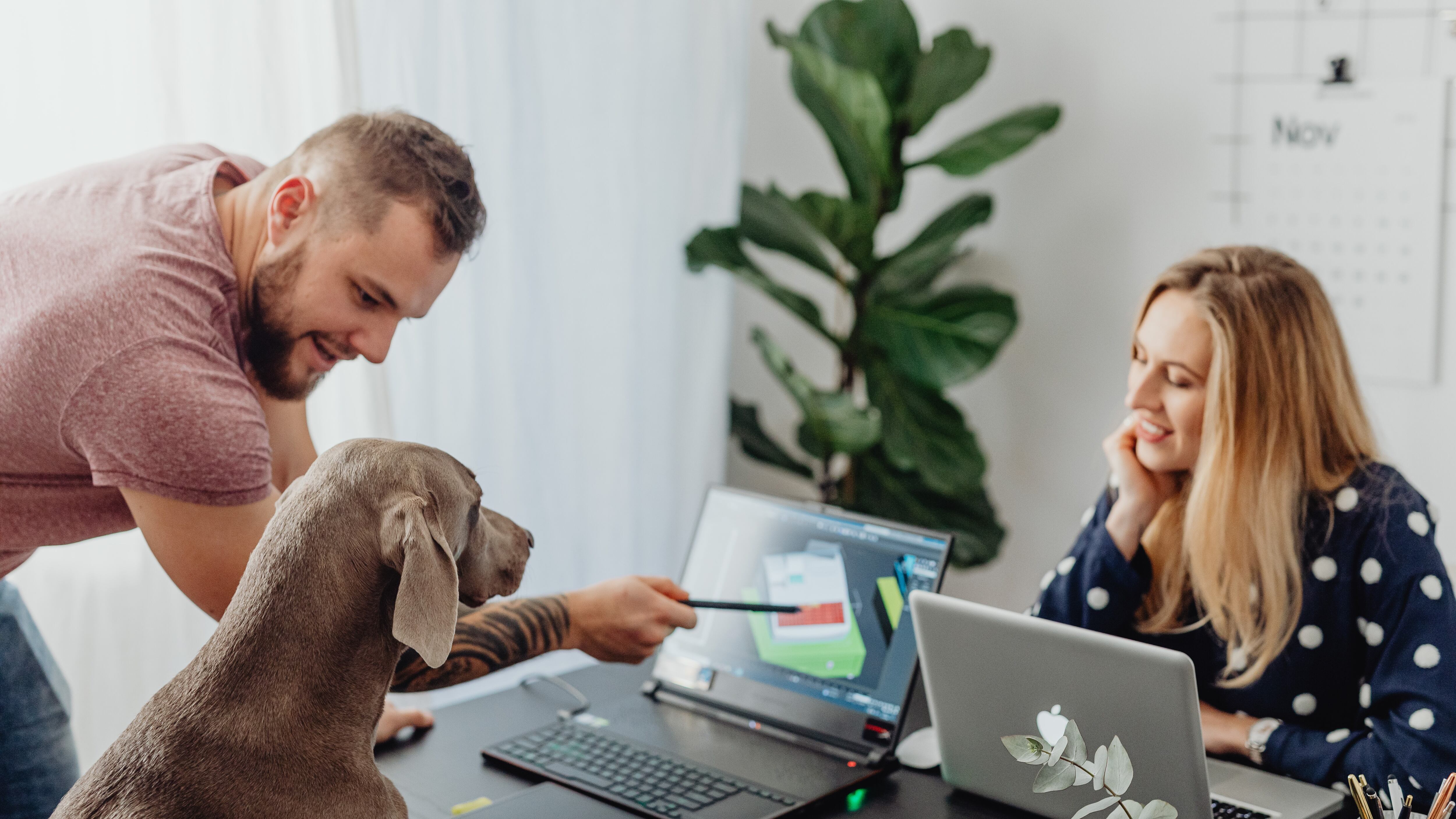 Cachorro inteligente olhando para o computador