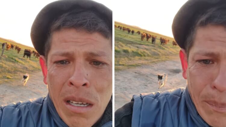 Funcionário demitido